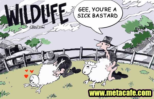 Patriot Scientific der Highflyer 2006 56836